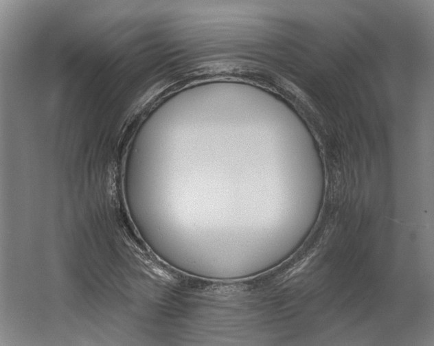 X0000062600778200601040912
