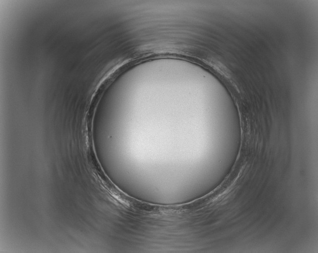 X0000062600782200601040912