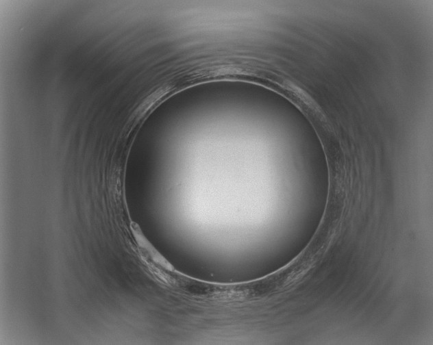 X0000062600793200601040912