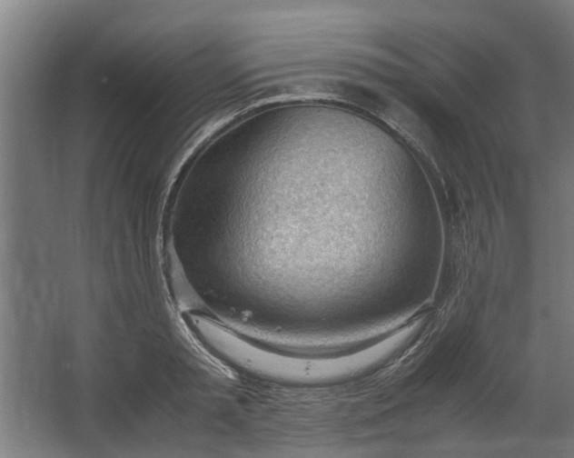 X0000062600797200601040912