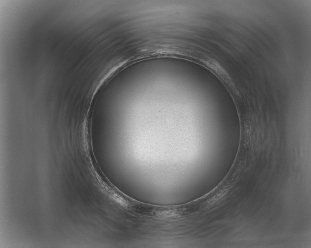 X0000062600798200601040912