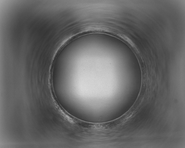 X0000062600799200601040912