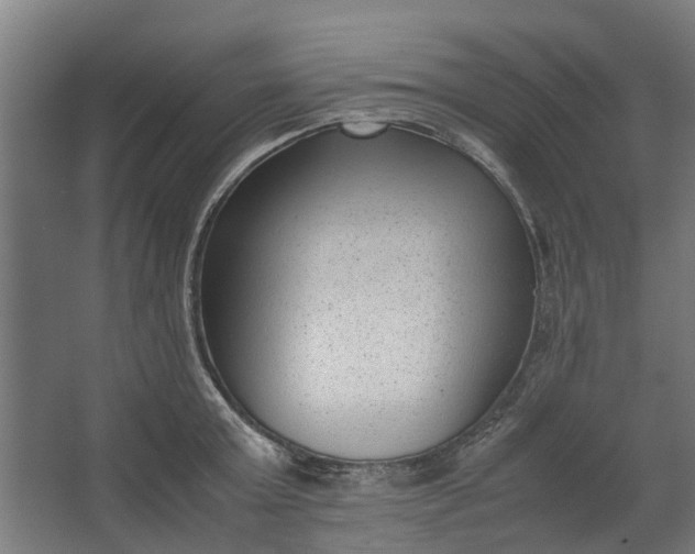 X0000062600803200601040912