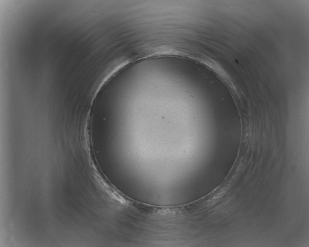 X0000062600806200601040912