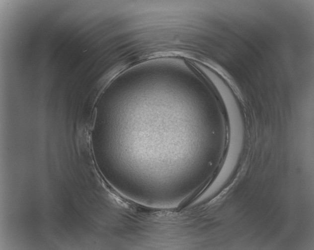 X0000062600809200601040912