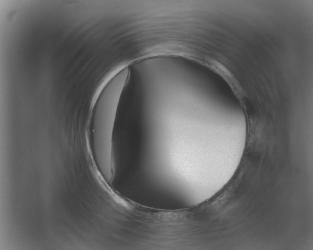 X0000062600812200601040912