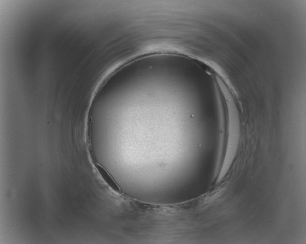 X0000062600815200601040912