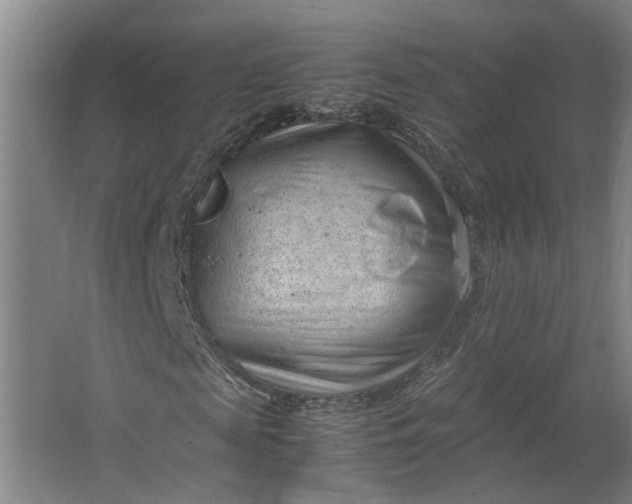 X0000062600817200601040911