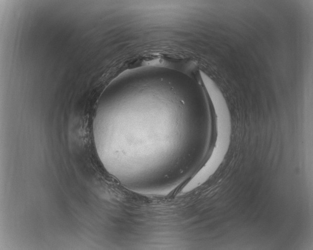 X0000062600818200601040911