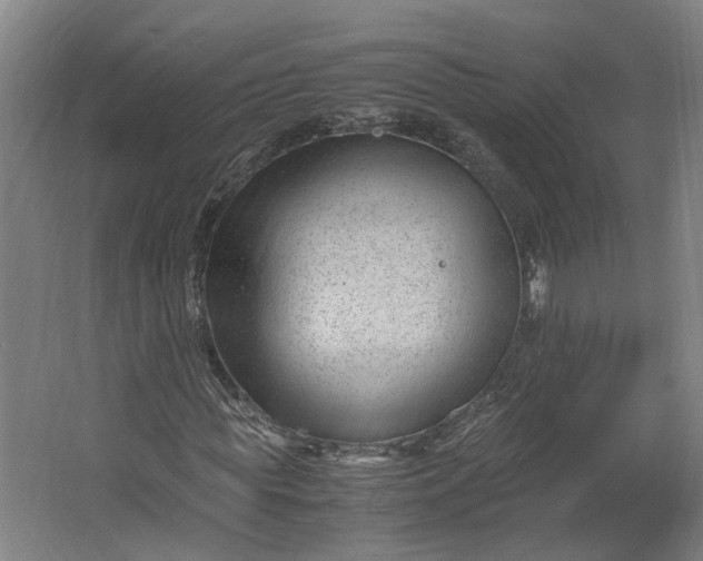 X0000062600819200601040911