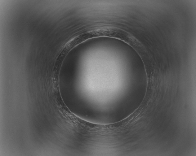 X0000062600822200601040911