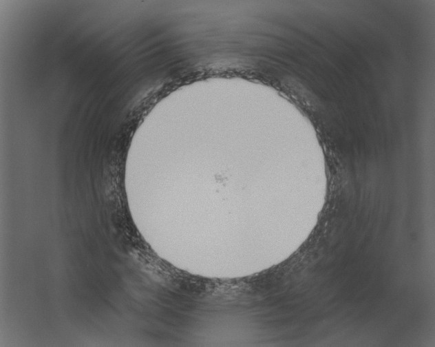 X0000062600824200601040911