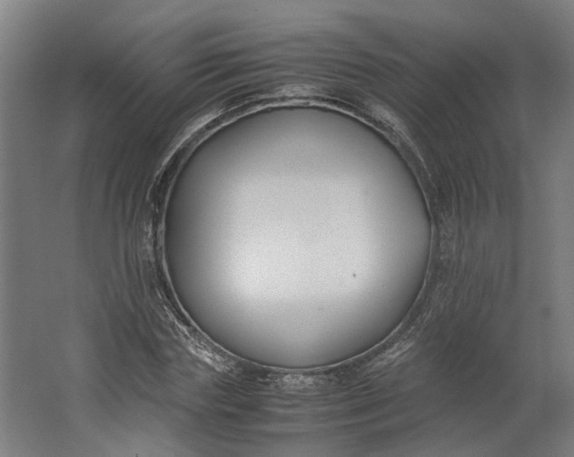 X0000062600827200601040911