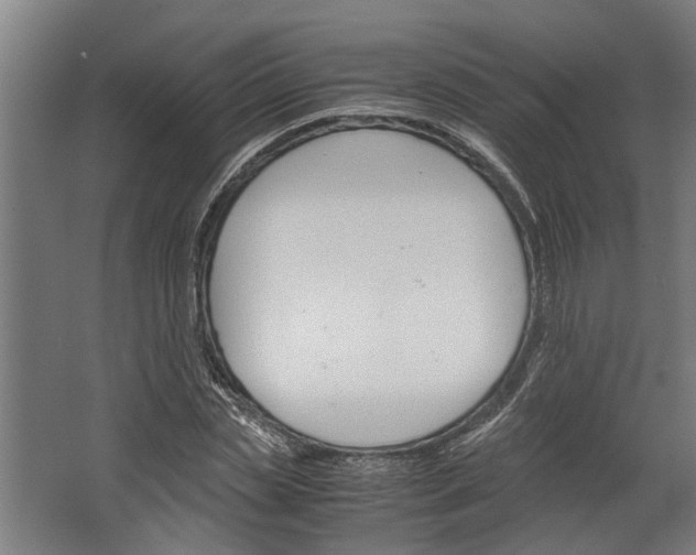 X0000062600829200601040911