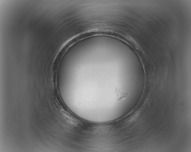 X0000062600830200601040911