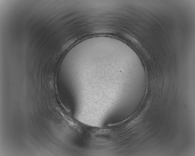 X0000062600833200601040911