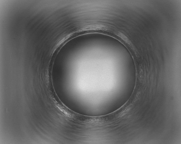 X0000062600834200601040911