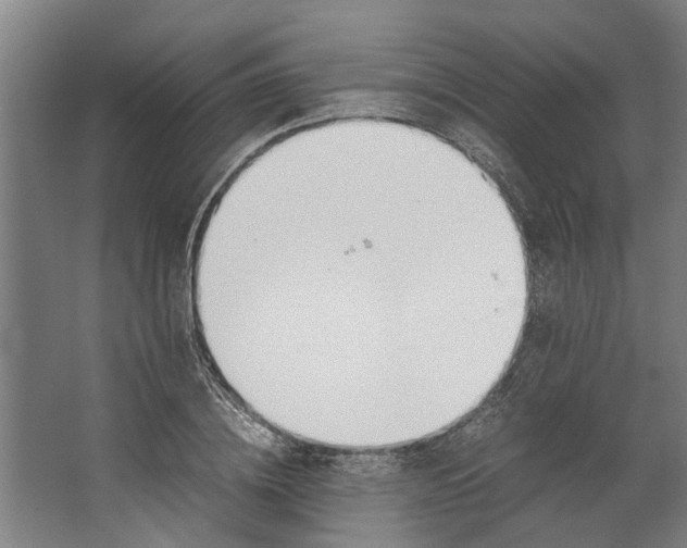 X0000062600836200601040911