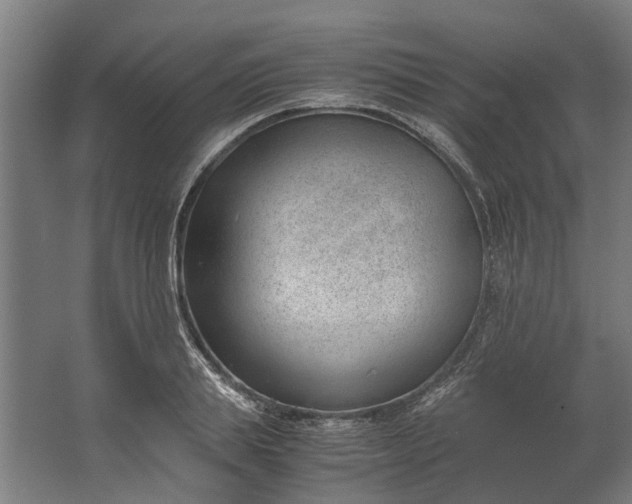 X0000062600839200601040911