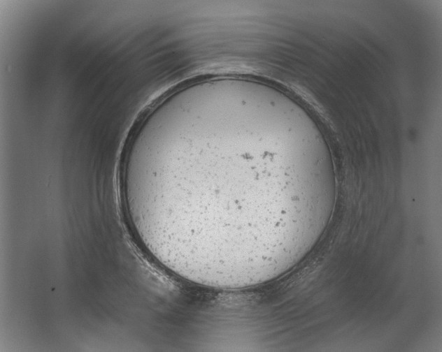 X0000062600840200601040911