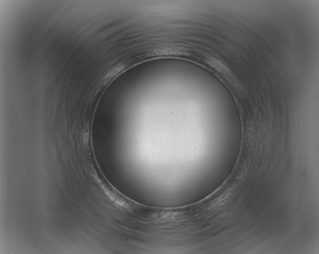 X0000062600841200601040911