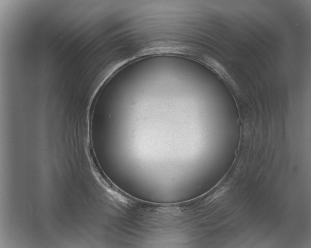 X0000062600844200601040911