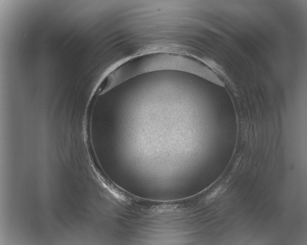 X0000062600846200601040911