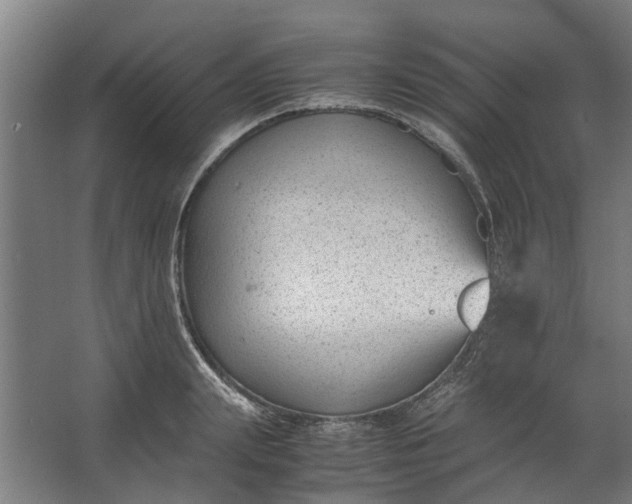 X0000062600847200601040911