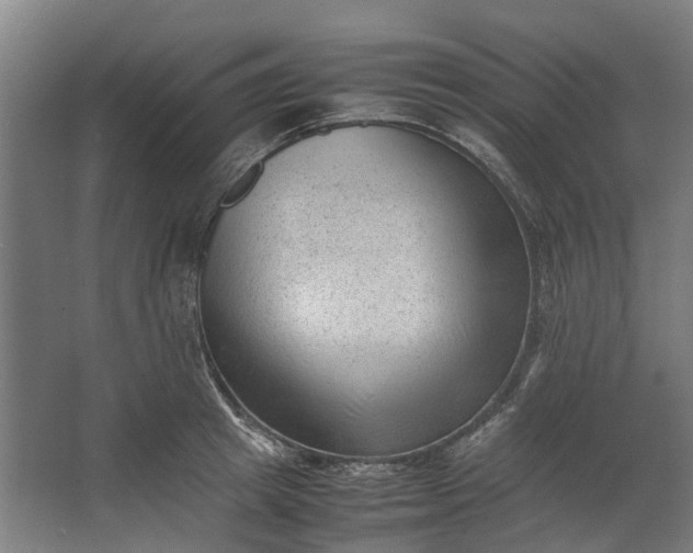 X0000062600849200601040911