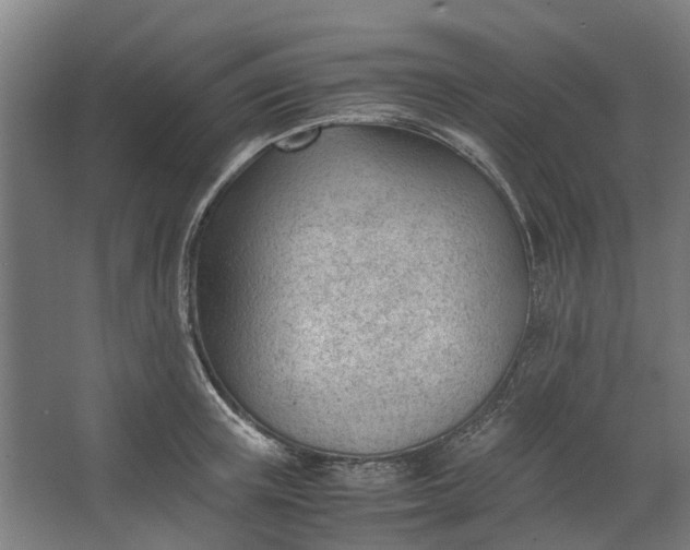 X0000062600851200601040911