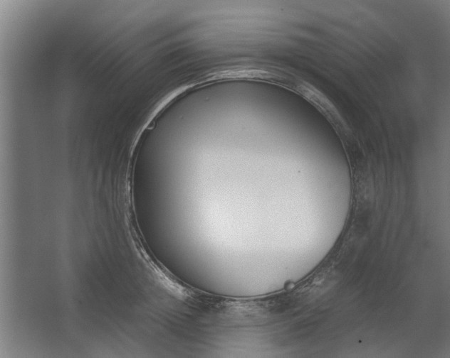 X0000062600852200601040911