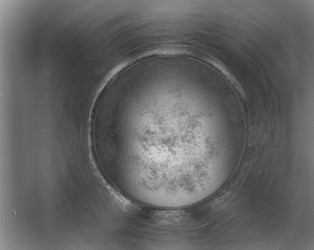 X0000062600853200601040911