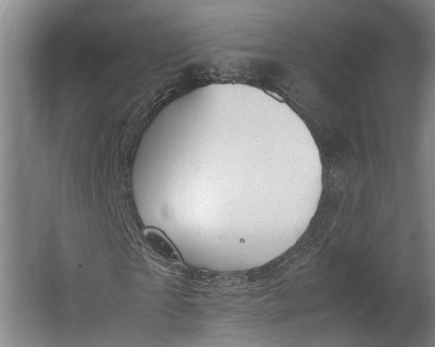 X0000062600865200601040911