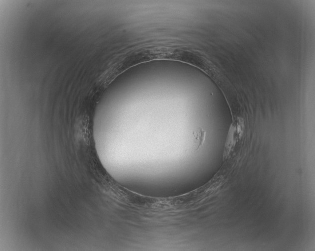 X0000062600867200601040911