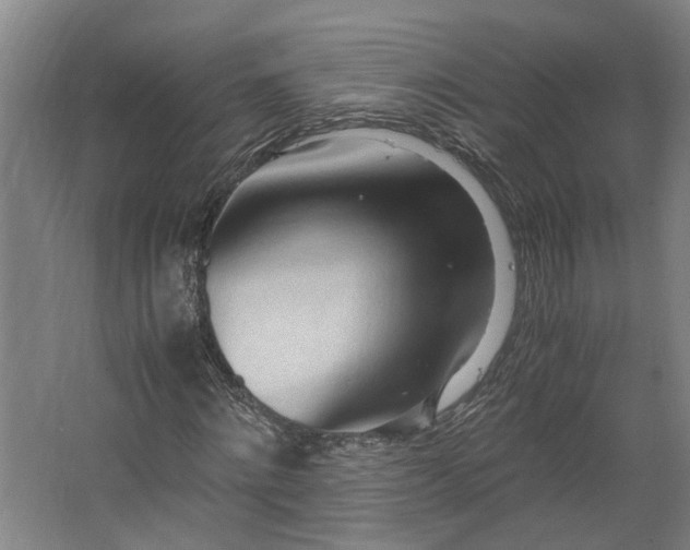 X0000062600868200601040911