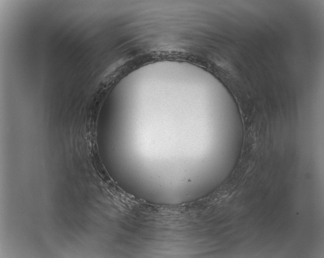 X0000062600870200601040911