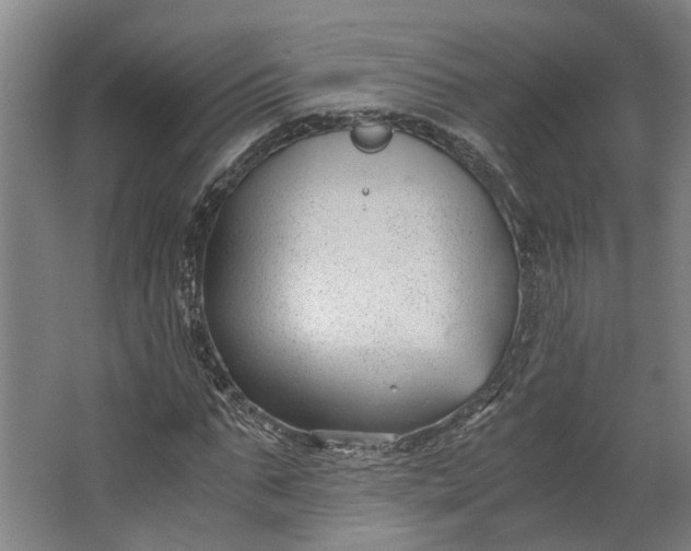 X0000062600871200601040911