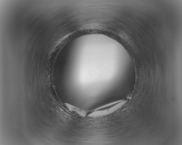 X0000062600872200601040911