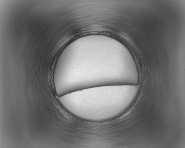 X0000062600873200601040911