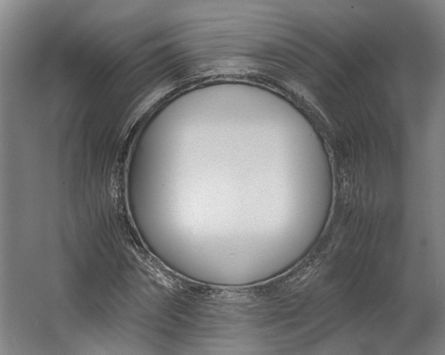 X0000062600874200601040911