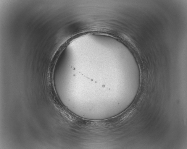 X0000062600875200601040911