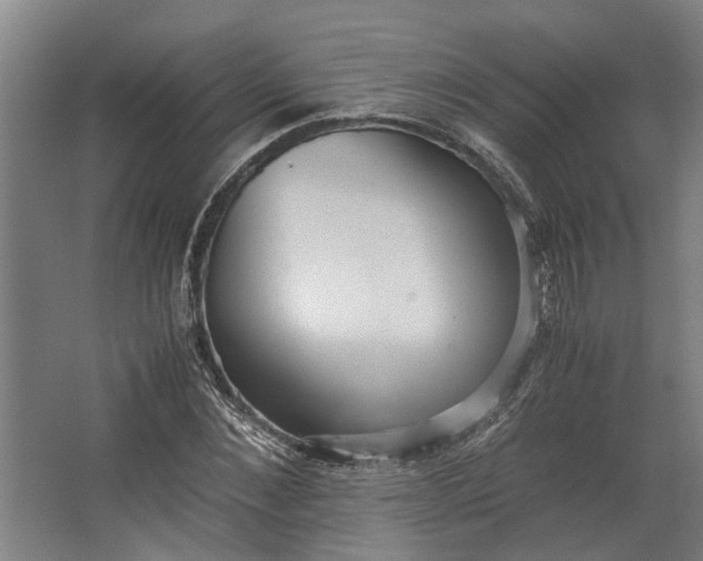 X0000062600876200601040911