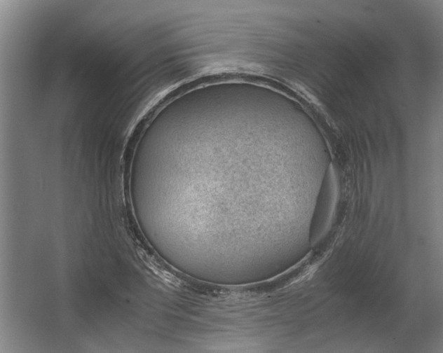 X0000062600877200601040911