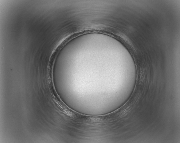 X0000062600878200601040911