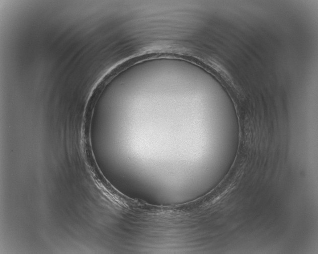 X0000062600880200601040911