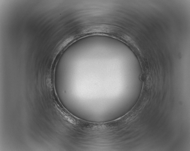 X0000062600882200601040911