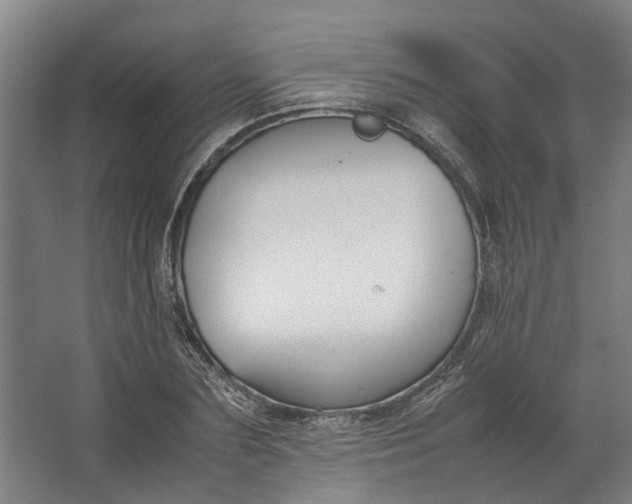 X0000062600883200601040911