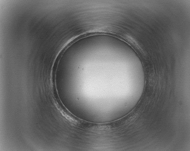 X0000062600884200601040910