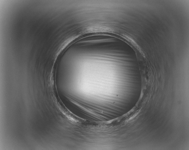 X0000062600885200601040910