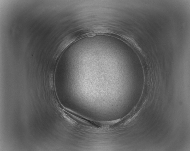 X0000062600889200601040910